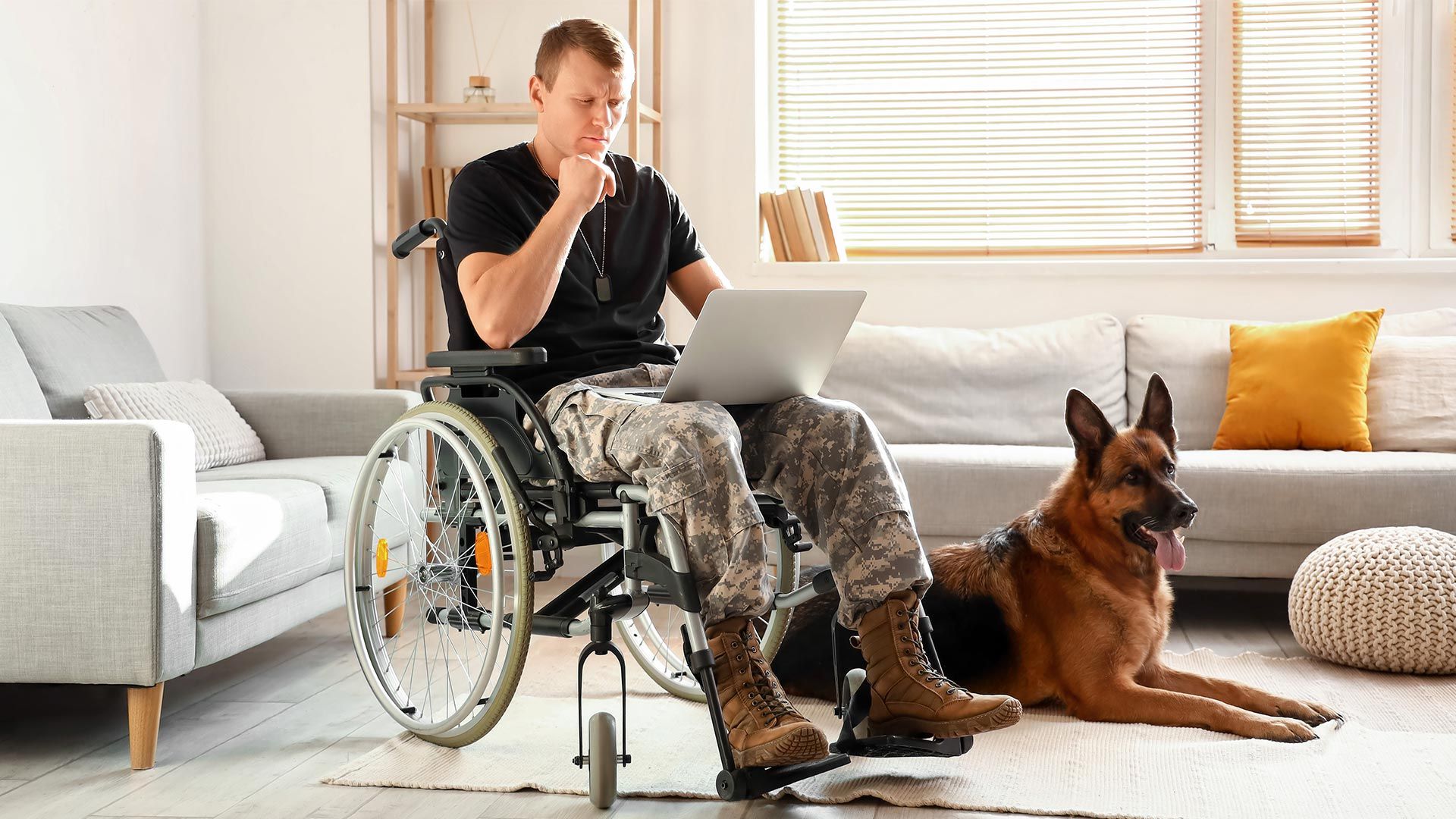 A male military veteran in a wheelchair uses a laptop, with a German Shepherd service dog beside him in a living room.
